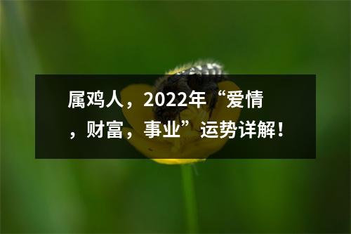 属鸡人，2025年“爱情，财富，事业”运势详解！