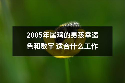 <h3>2005年属鸡的男孩幸运色和数字适合什么工作