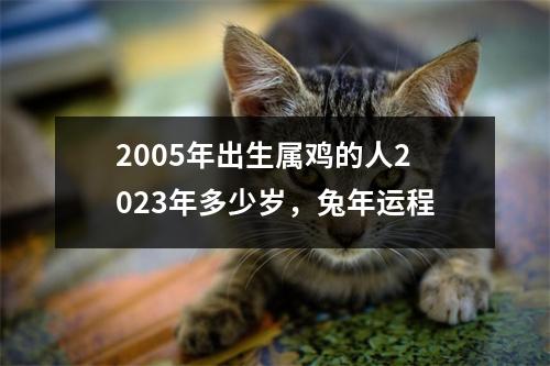 <h3>2005年出生属鸡的人2025年多少岁，兔年运程