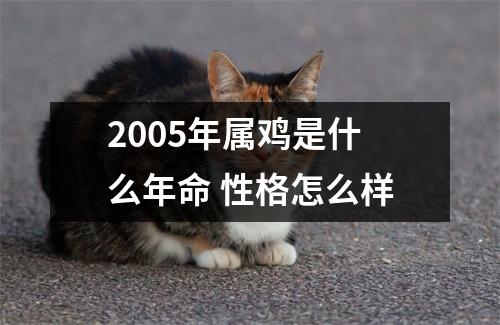 2005年属鸡是什么年命性格怎么样