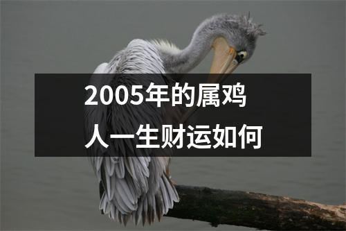 2005年的属鸡人一生财运如何