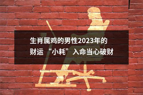 生肖属鸡的男性2025年的财运“小耗”入命当心破财