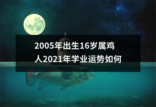 <h3>2005年出生16岁属鸡人2025年学业运势如何