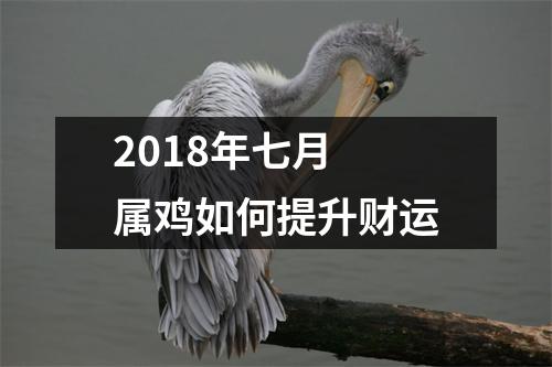 2018年七月属鸡如何提升财运