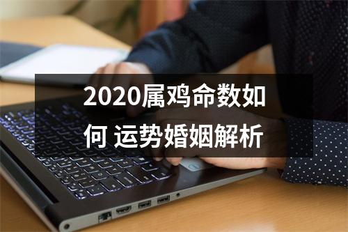 2025属鸡命数如何运势婚姻解析