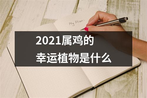 2025属鸡的幸运植物是什么