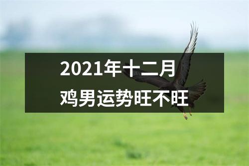 <h3>2025年十二月鸡男运势旺不旺