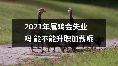 2021年属鸡会失业吗能不能升职加薪呢