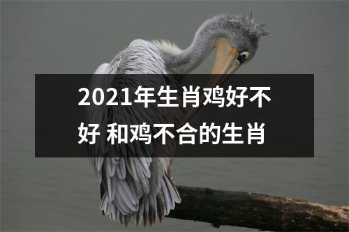 2025年生肖鸡好不好和鸡不合的生肖