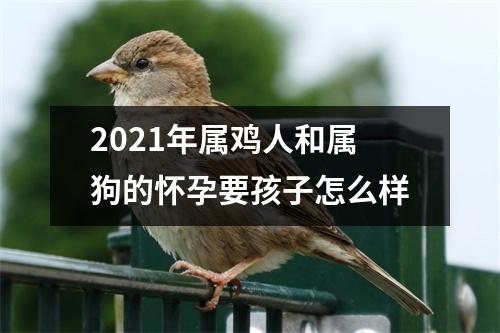 <h3>2025年属鸡人和属狗的怀孕要孩子怎么样