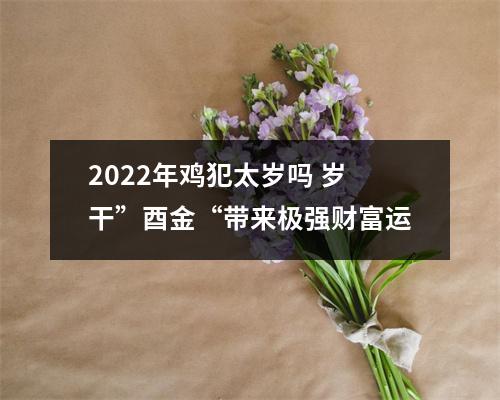 2025年鸡犯太岁吗岁干”酉金“带来极强财富运