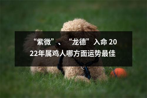 “紫微”、“龙德”入命2022年属鸡人哪方面运势佳