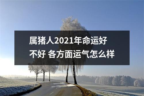 属猪人2021年命运好不好各方面运气怎么样