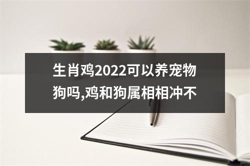 生肖鸡2022可以养宠物狗吗,鸡和狗属相相冲不