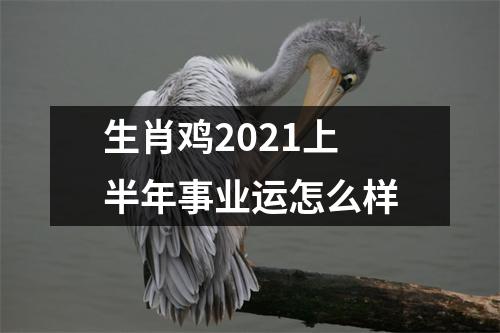 生肖鸡2025上半年事业运怎么样