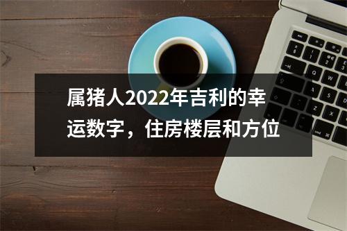 属猪人2022年吉利的幸运数字，住房楼层和方位