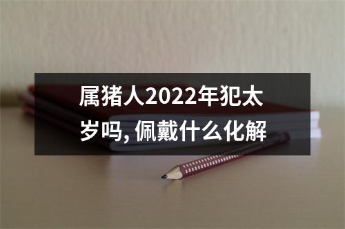 属猪人2022年犯太岁吗,佩戴什么化解