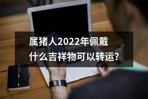 属猪人2022年佩戴什么吉祥物可以转运？