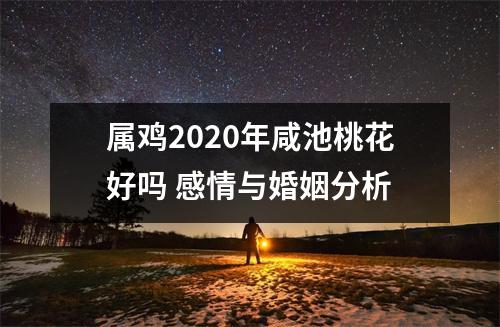 属鸡2025年咸池桃花好吗感情与婚姻分析