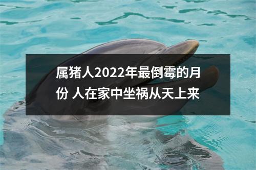 属猪人2022年倒霉的月份人在家中坐祸从天上来