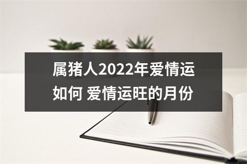 属猪人2025年爱情运如何爱情运旺的月份