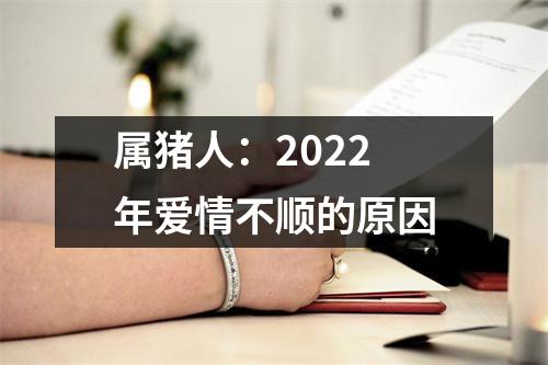 属猪人：2025年爱情不顺的原因