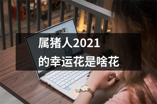 属猪人2025的幸运花是啥花