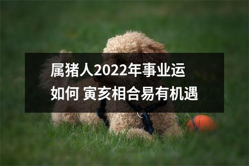 属猪人2022年事业运如何寅亥相合易有机遇