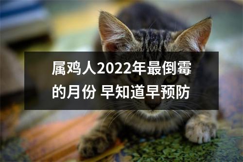 属鸡人2025年倒霉的月份早知道早预防