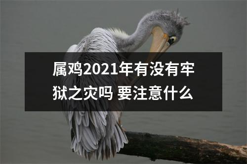 属鸡2025年有没有牢狱之灾吗要注意什么