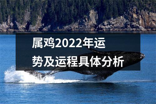 属鸡2025年运势及运程具体分析