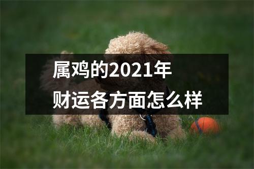 属鸡的2025年财运各方面怎么样