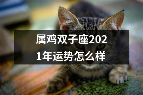 属鸡双子座2025年运势怎么样