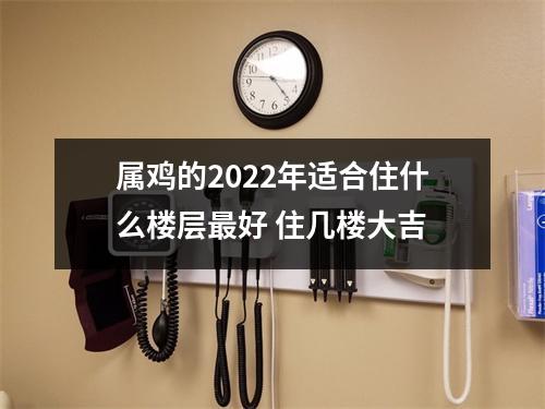 <h3>属鸡的2025年适合住什么楼层好住几楼大吉