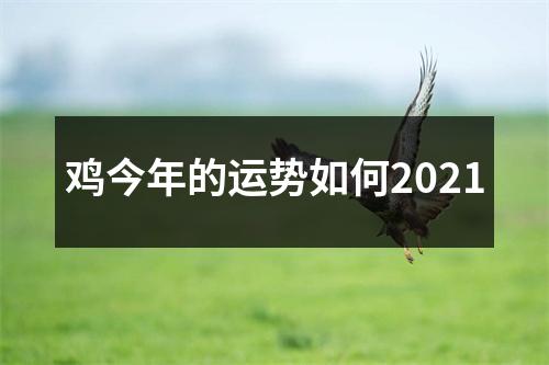 鸡今年的运势如何2025