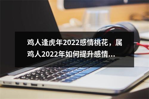 鸡人逢虎年2025感情桃花，属鸡人2025年如何提升感情运