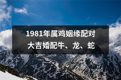 <h3>1981年属鸡姻缘配对大吉婚配牛、龙、蛇