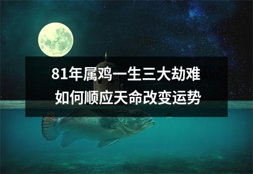 81年属鸡一生三大劫难如何顺应天命改变运势