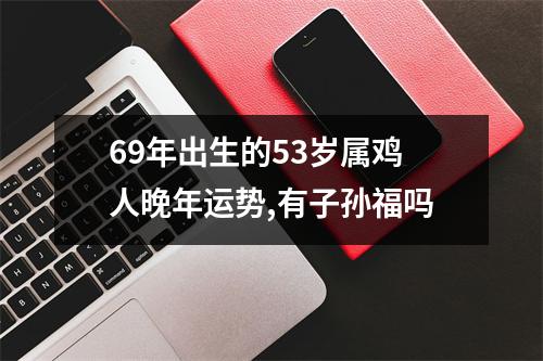 69年出生的53岁属鸡人晚年运势,有子孙福吗