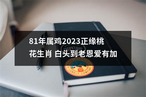 81年属鸡2025正缘桃花生肖白头到老恩爱有加