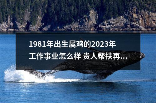 1981年出生属鸡的2025年工作事业怎么样贵人帮扶再下一城