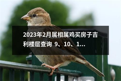 2025年2月属相属鸡买房子吉利楼层查询9、10、15聚财旺财