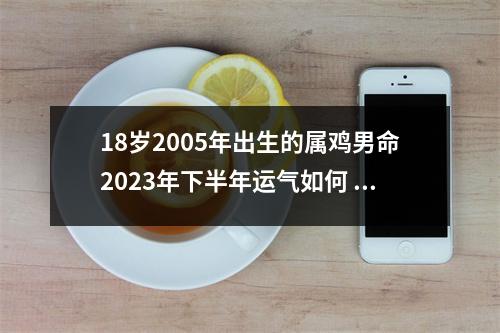 <h3>18岁2005年出生的属鸡男命2025年下半年运气如何运势详解