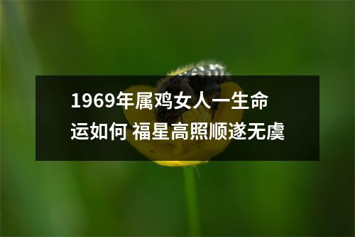 1969年属鸡女人一生命运如何福星高照顺遂无虞