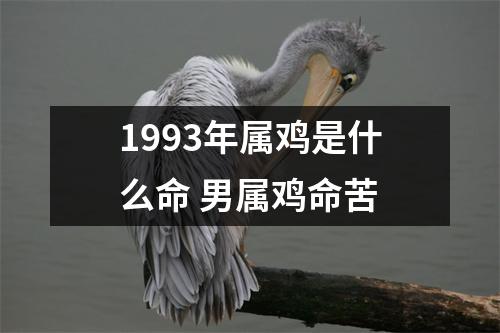 <h3>1993年属鸡是什么命男属鸡命苦