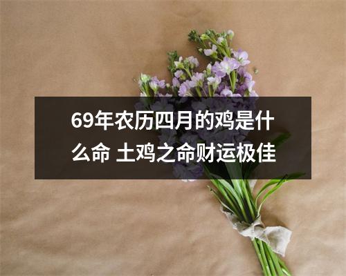 69年农历四月的鸡是什么命土鸡之命财运极佳