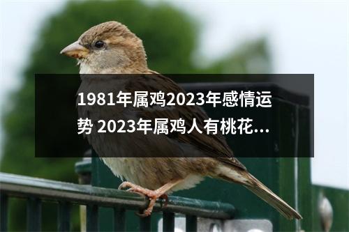 1981年属鸡2025年感情运势2025年属鸡人有桃花劫吗？