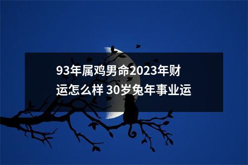 <h3>93年属鸡男命2025年财运怎么样30岁兔年事业运