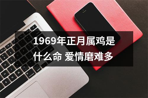 1969年正月属鸡是什么命爱情磨难多