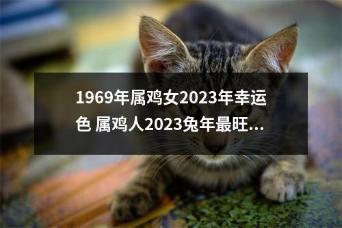 1969年属鸡女2025年幸运色属鸡人2025兔年旺的颜色